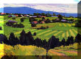 fields.jpg (49904 bytes)